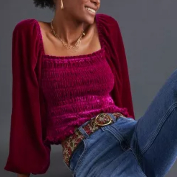 Anthropologie Tops - Smocked Velvet Balloon Sleeve Top